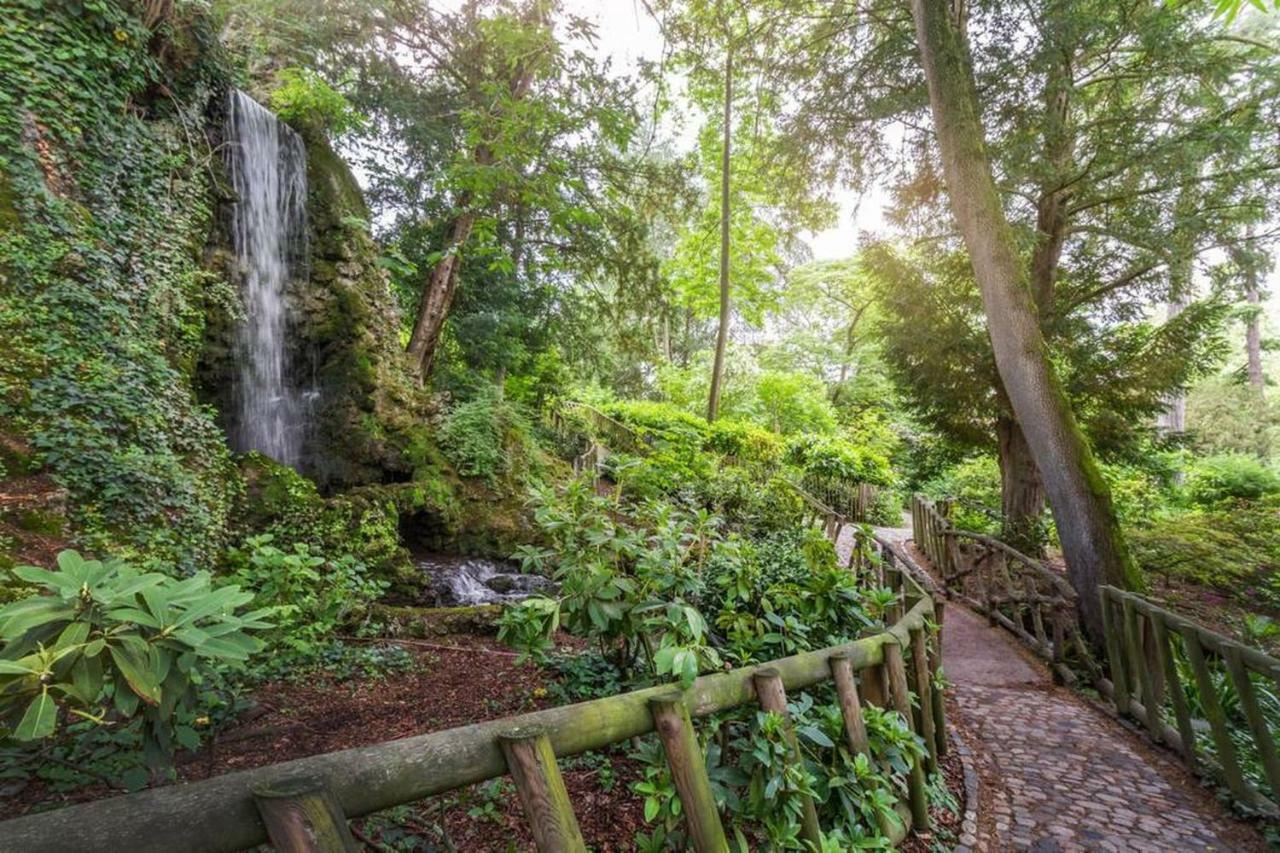 Calme Appart Renove Jardin Des Plantes Busca Toulouse Luaran gambar